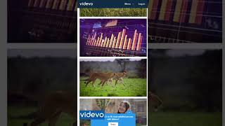 FREE STOCK VIDEO  5 Best Website for Copyright Free Videos Royalty Free Videos Free Stock Footage [upl. by Sirehc]