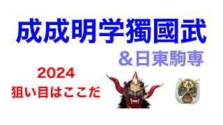 2024入試日程から選ぶ狙い目大学【成成明学獨國武＆日東駒専文系編】 [upl. by Roque]