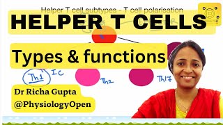 Helper T cells types and functions physiology of immune system mbbs 1st year  Acquired immunity [upl. by Hach491]