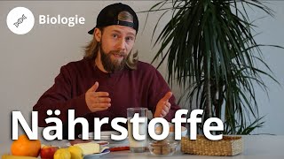 Nährstoffe Was sind Kohlenhydrate Vitamine und Fette – Biologie  Duden Learnattack [upl. by Maurice]