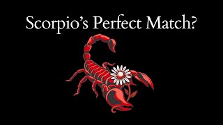 Scorpio Compatibility Whos the Perfect Match [upl. by Shoemaker891]