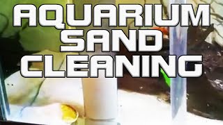 Quick Aquarium Sand Cleaning How ToDIY [upl. by Willms]