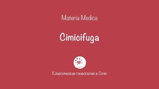 Cimicifuga Actea Racemosa [upl. by Yusem563]