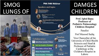 Effect of Smog on the lungsbrain and development of ChildrenProf Iqbal BanoProf Masood sadiq [upl. by Yerxa495]