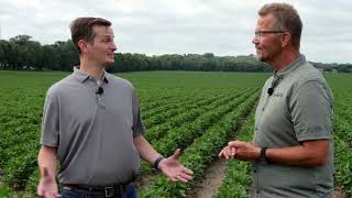 Future Farm  TuneUp Seed Treatments on Soybeans [upl. by Hartzell]