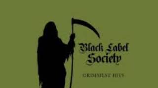 Illusions of Peace  Black Label Society [upl. by Suirred]