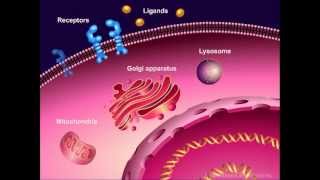 Introduction to Cancer Biology Part 1 Abnormal Signal Transduction [upl. by Viridissa]