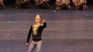 Sergei Polunin  La Bayadere 21102013 [upl. by Eittam507]