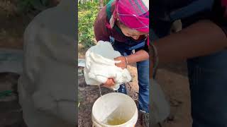 This bucket of solidified rubber the water left too much a little lifting to fall on the floor na [upl. by Eelrebmyk966]