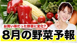 酷暑の影響【8月の野菜予報】お買い得だった野菜に変化？ [upl. by Yenahteb]