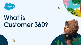 What is Customer 360 [upl. by Kraska]