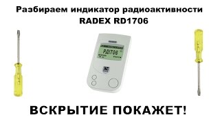 ☢ RADEX RD1706 РАЗБИРАЕМ ИНДИКАТОР РАДИОАКТИВНОСТИ РАДЭКС РД1706 ☢ [upl. by Durward]