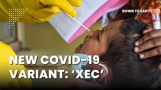 Why is the new COVID19 variant XEC more contagious [upl. by Yahsram]