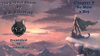 The Crystal Shard  Chapter 9 No More a Boy The Icewind Dale Trilogy Book One [upl. by Melvina398]