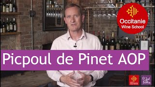 Mini masterclass 2 Picpoul de Pinet AOP – Occitanie Wine School [upl. by Ennyleuqcaj]