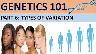 GENETICS 101 Part 6 Types of VariationCXC Biology Tutor [upl. by Enttirb]