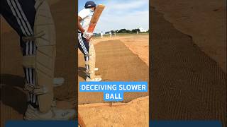 Deceived by Pace ft Vino Gopi cricket tamilcricket tamilshorts goprocricket gopro ytshorts [upl. by Skoorb]