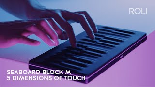 Seaboard BLOCK M Discover 5 Dimensions of Touch Anywhere [upl. by Annala507]