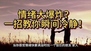 掌控情绪的5个绝招！再也不被压力击垮！ [upl. by Ninaj43]