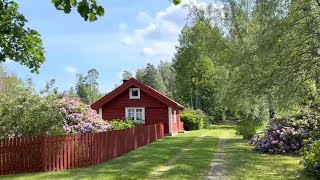 Swedish Hikes Sörmlandsleden part 29 etapp 29 [upl. by Boffa]