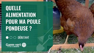 TUTO Quelle alimentation pour ma poule pondeuse   Jardinerie Gamm vert [upl. by Thrift]