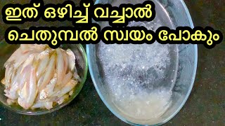 കൈ തൊടാതെ ചെതുമ്പൽ കളയാം EASY FISH SCALES REMOVING TRICK [upl. by Mushro]