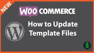 Updating Outdated WooCommerce Template Files [upl. by Ziwot170]