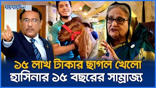 শেখ হাসিনার পতনের পেছনে দায়ী সাদিক এগ্রোর সেই ১৫ লাখ টাকার ছাগল  Sheikh Hasina  Jaijaidin News [upl. by Narahs]