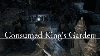 Dark Souls 3 100 Walkthrough Part 28  Consumed Kings Garden [upl. by Iralav]