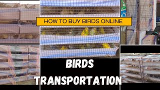 SHIPMENT GOING TO NEW 🏡🏡🏠  BIRD TRANSPORTATION VIDEO  HOW TO BUY BIRD ONLINE  DELIVERY 🚚 VIDEO [upl. by Ybreh685]