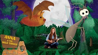 Echolocation The Bat Song Educational  Kids Music  2019 [upl. by Hebrew]