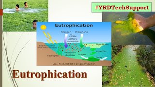 Eutrophication and Eutrophication Process [upl. by Elliot]