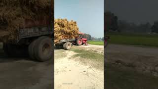 Mahindra tractor 475 di ka power dekhe vs trally [upl. by Alfreda801]