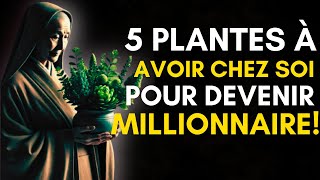 5 Plantes Puissantes qui Attireront Instantanément la Richesse dans Votre Vie Abondance dArgent [upl. by Perzan]