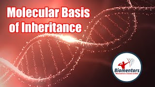 Molecular Basis of Inheritance l Lecture 18 l Biology l NEET [upl. by Ayahc]