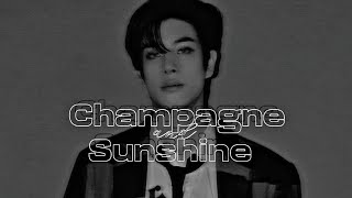 JAKE  Champagne and Sunshine FMV [upl. by Ennoval]