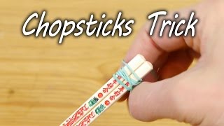 How to Use Chopsticks  Life Hack [upl. by Anawqahs]