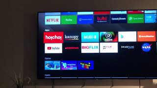 Hoichoi Android TV app streaming problem [upl. by Anuayek]