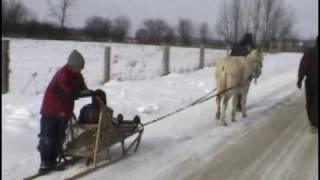 ânes du Québec le traînâne [upl. by Dine48]