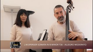 Sperger Sonata B minor T36  Allegro Moderato [upl. by Elatsyrk636]