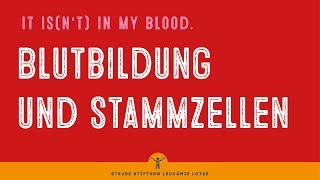 Blutbildung und Stammzellen  Krankheit verstehen [upl. by Konstanze]