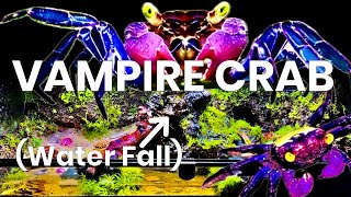 Vampire Crab Ecosystem  Full Build [upl. by Sile]