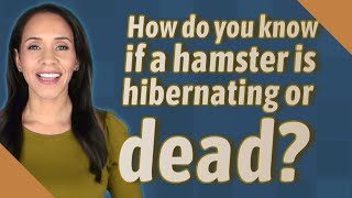 How do you know if a hamster is hibernating or dead [upl. by Harriot708]