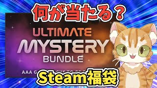 【Steam福袋】fanatical Ultimate Mystery Bundleを10口開封してみた [upl. by Leoine592]