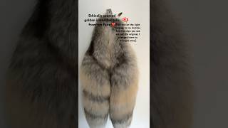 My first real tail notatherian foxtail ethicallysourced [upl. by Niknar252]