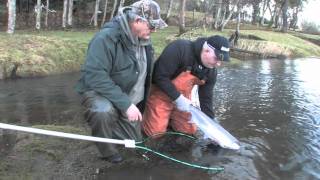 Fishing for winter steelhead North Umpqua Oregon 2011 [upl. by Rina]