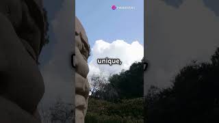 The Mystery of Olmec Colossal Heads shorts history [upl. by Lindeberg617]