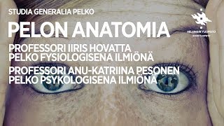 Studia Generalia Pelko Pelon Anatomia [upl. by Attelocin]