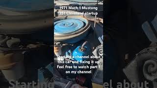 1971 Mach 1 Mustang startup 1971 Mustang mustang 351 Cleveland mustangfastback idle startup [upl. by Yellas]