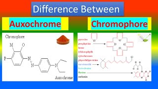 Difference between Auxochrome and Chromophore [upl. by Assirat]